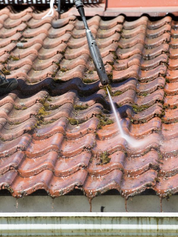 Roof Surface Cleaning