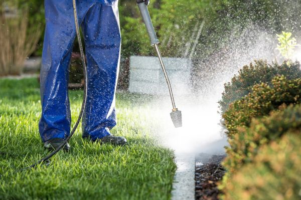 Curb Cleaning in Fernandina Beach