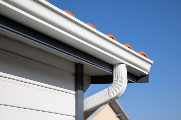 Roofline Cleaning in Fernandina Beach