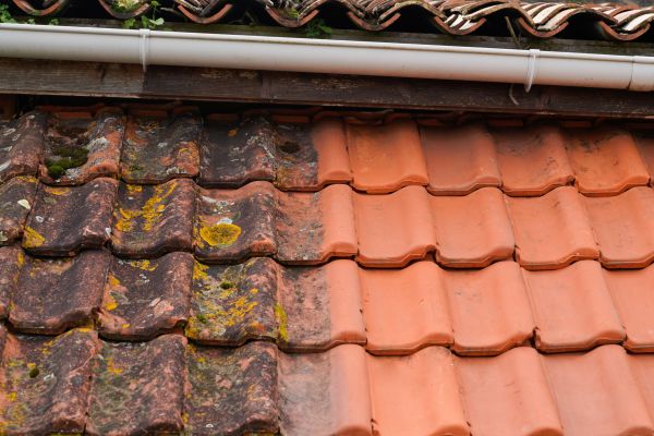 Industrial Roof Cleaning in Fernandina Beach